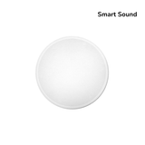  Loa Toàn Dải Âm Trần 2 Chiều RK525 5.25