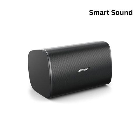 Loa Bose DesignMax DM8S