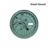  Loa Bose FreeSpace 360P II - Âm Thanh 360° Cho Không Gian Rộng Lớn 