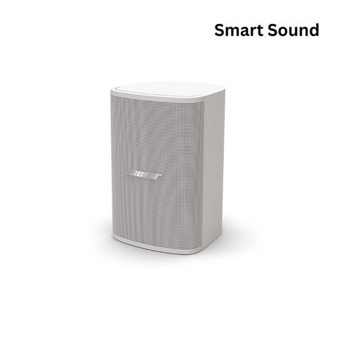 Loa treo tường Bose DesignMax DM5SE