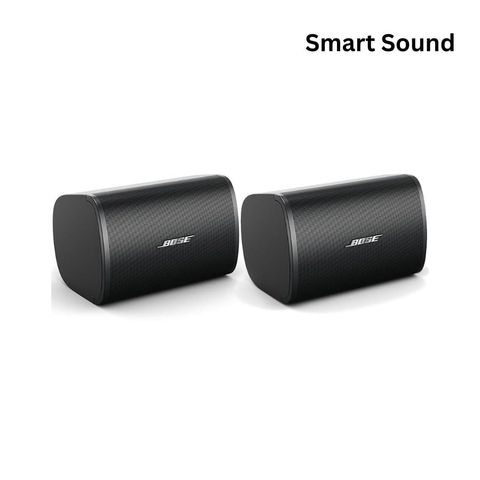 Bose DesignMax DM3SE