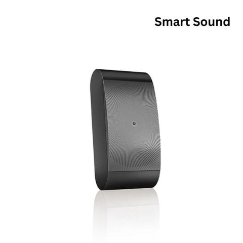 loa U4 Max thiết kế tinh tế, cấu hình mạnh mẽ cho không gian cao cấp