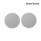  Loa Bose DesignMax DM5C - Âm Thanh Chuyên Nghiệp Cho Không Gian Trần 