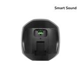  Loa Hộp Treo Tường RK30 