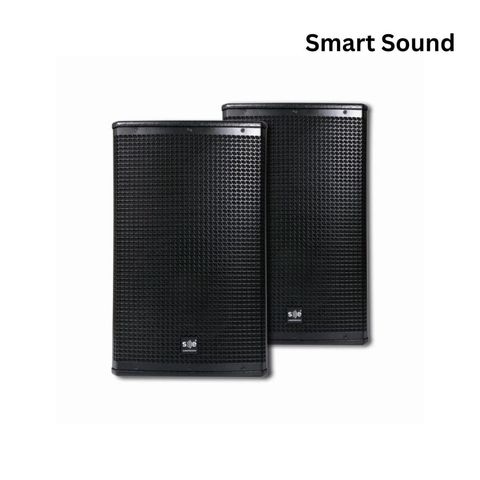 SE Audiotechnik CV-12i