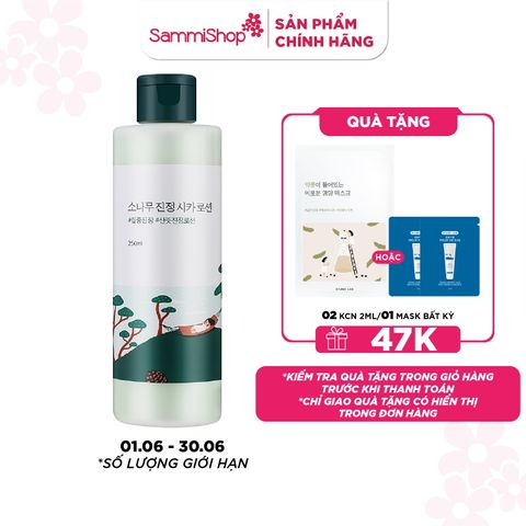 Round lab Sữa dưỡng Pine Calming Cica Lotion 250ml