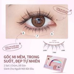 Mlen Diary Mi dưới
