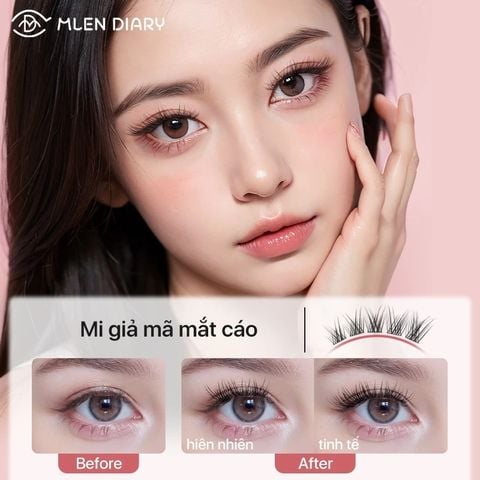 Mlen Diary Mi cáo