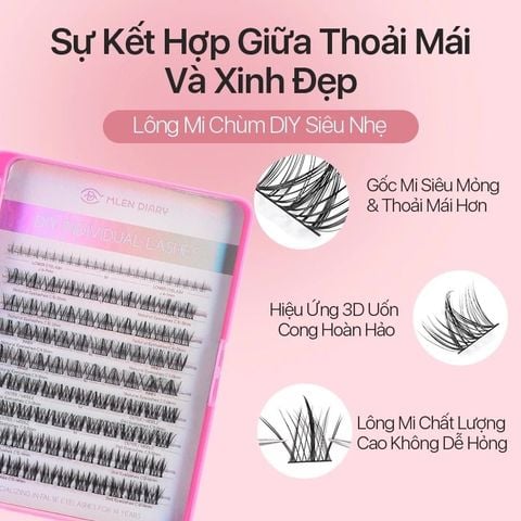 Mlen Diary Mi song sinh