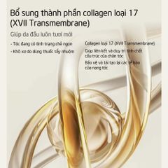 Spes Dầu gội Ginger Collagen Shampoo Oil Control And Volumizing 500ml