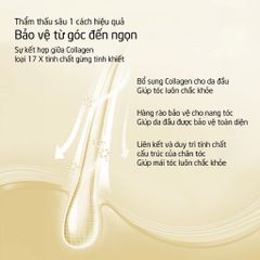 Spes Dầu gội Ginger Collagen Shampoo Oil Control And Volumizing 500ml