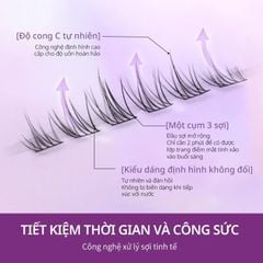 Mlen Diary Mi hướng dương