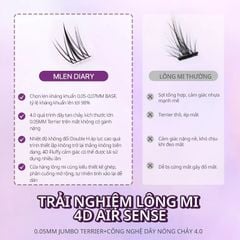 Mlen Diary Mi hướng dương