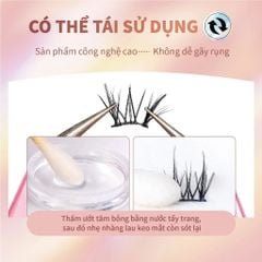 Mlen Diary Mi hướng dương