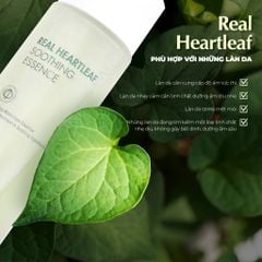 Neogen Tinh chất Dermalogy Real Heartleaf Soothing Essence 150ml