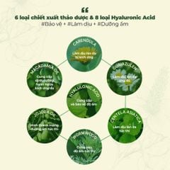 Neogen Tinh chất Dermalogy Real Heartleaf Soothing Essence 150ml