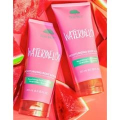 Tree Hut Kem dưỡng thể Moisturizing Body Lotion 251ml