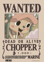 Poster Truy Nã One Piece V2 Băng Mũ Rơm A3 (42x30cm) – Tranh Wanted Luffy, Zoro, Sanji, Robin, Chính Hãng TEENBOX