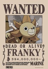 Poster Truy Nã One Piece V2 Băng Mũ Rơm A3 (42x30cm) – Tranh Wanted Luffy, Zoro, Sanji, Robin, Chính Hãng TEENBOX