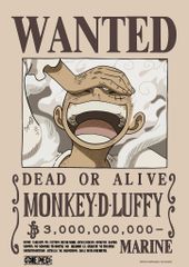 Poster Truy Nã One Piece V2 Băng Mũ Rơm A3 (42x30cm) – Tranh Wanted Luffy, Zoro, Sanji, Robin, Chính Hãng TEENBOX