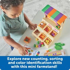 Bộ đồ chơi học phân loại, màu sắc và số đếm dành cho bé từ 3 tuổi - Learning Resources LER6822