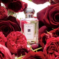 Nước hoa nữ Jo Malone london red roses cologne 100ml