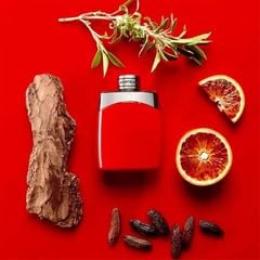 Nước Hoa Nam Montblanc Legend Red EDP 200ml