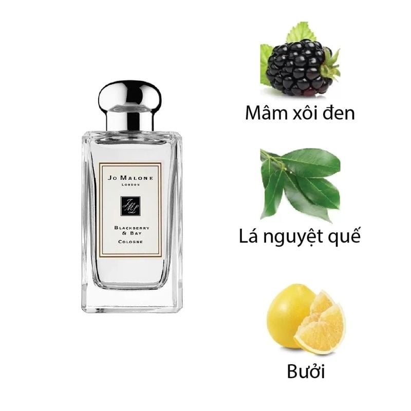 Jo Malone blackberry & bay cologne 100ml