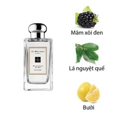 Jo Malone blackberry & bay cologne 100ml