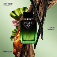 [chiết 10ml] Prada Paradigme Le Parfum