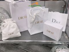 Túi giấy Dior chính hiệu size s