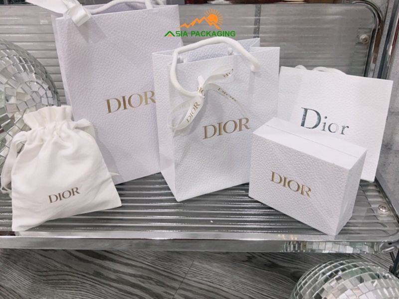 Túi giấy Dior chính hiệu size L