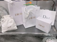 Túi giấy Dior chính hiệu size L
