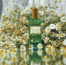 Nước Hoa Unisex Gucci Memoire D’une Odeur EDP 60ml