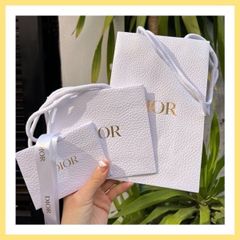 Túi giấy Dior chính hiệu size s