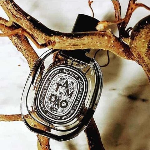 [chiết 10ml] Diptyque Tam Dao edp