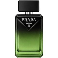 [chiết 10ml] Prada Paradigme Le Parfum
