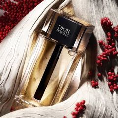 Nước Hoa Nam Christian Dior Homme Sport Eau De Toilette (EDT) 125ml