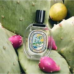 [ chiết 10ml ] Nước Hoa Unisex Diptyque ILIO EDT