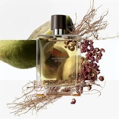 [chiết 10ml] Hermes Terre d’Hermes Eau Intense Vetiver EDP