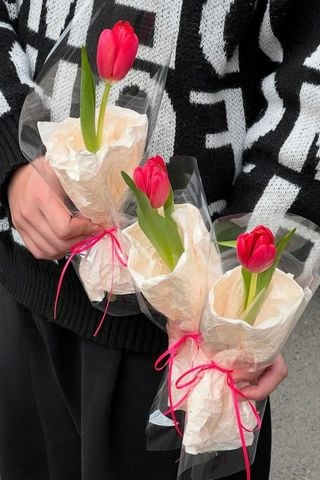 Bó Hoa TuLip 1 Bông Mix Màu A0301