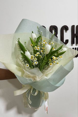 Bó Hoa Tulip Trắng Tinh Khôi A0297