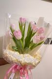 Bó Hoa Tulip Hồng A0001