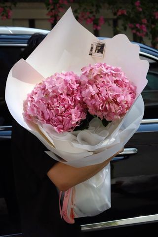 Bó Hoa Tú Cầu Hồng Đơn Giản A0265