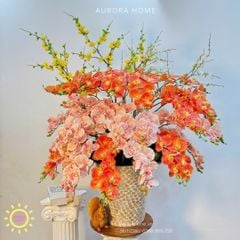 Chậu hoa lan hồ điệp giả cao cấp Rạng Minh Phú Quý