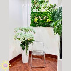 Chậu hoa lan hồ điệp cao cấp Gia Hoà