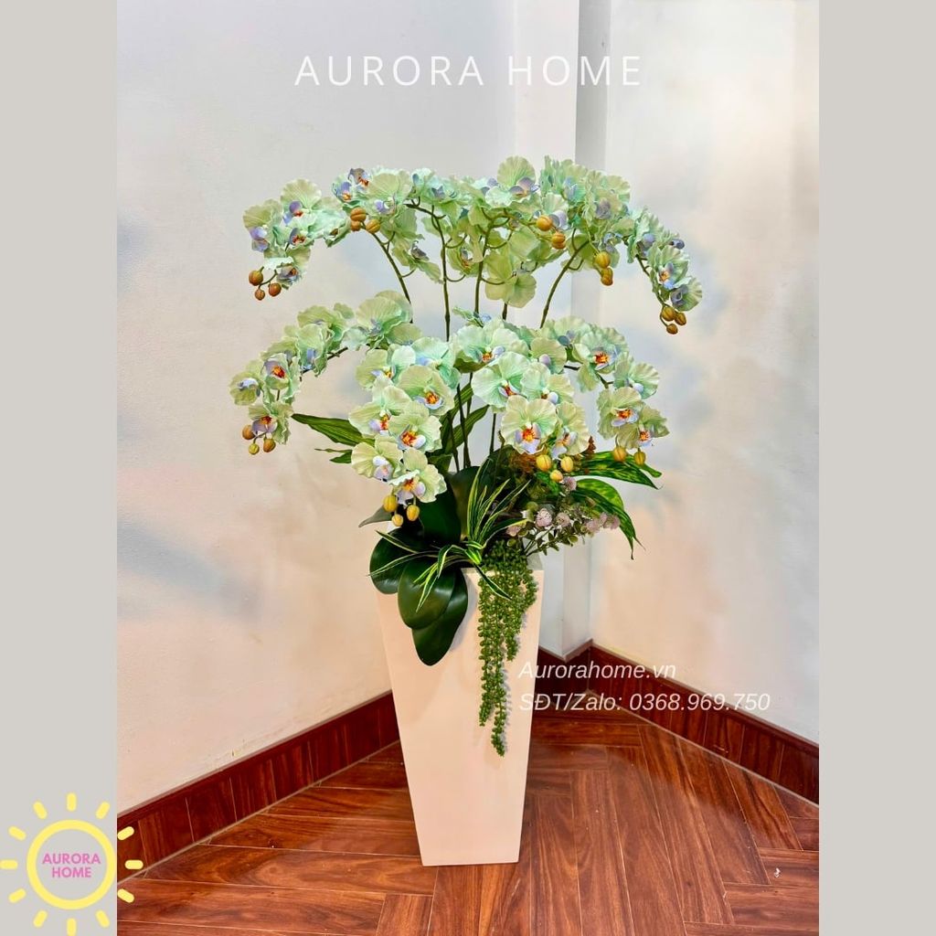 Chậu hoa lan hồ điệp cao cấp Gia Hoà