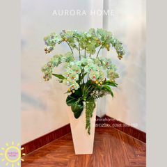 Chậu hoa lan hồ điệp cao cấp Gia Hoà