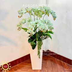 Chậu hoa lan hồ điệp cao cấp Gia Hoà