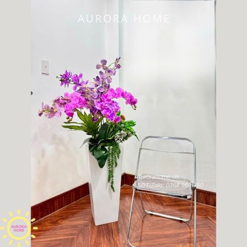 Chậu hoa lan hồ điệp cao cấp Ngọc Phúc